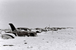 Abandoned Cars Collected for Dune Deveopment